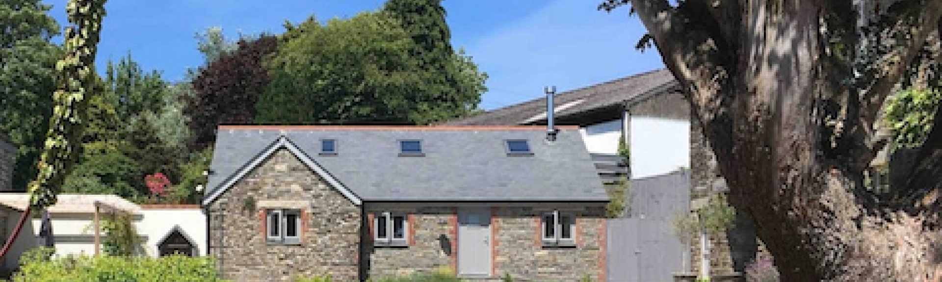 Between shrubs and a mature tree, stands a Cornish 2-storey stone-barn conversion
