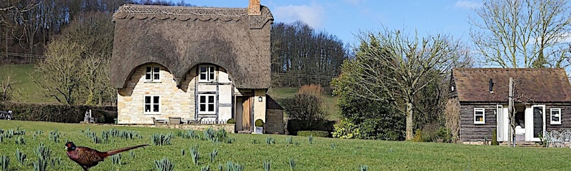 A thatched cottage overlooks a large village green.