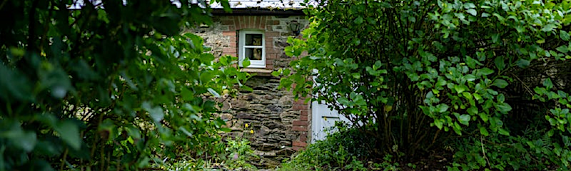 A glimpse of a stone-built barn conversion partially screened by mature bushes in a garden.