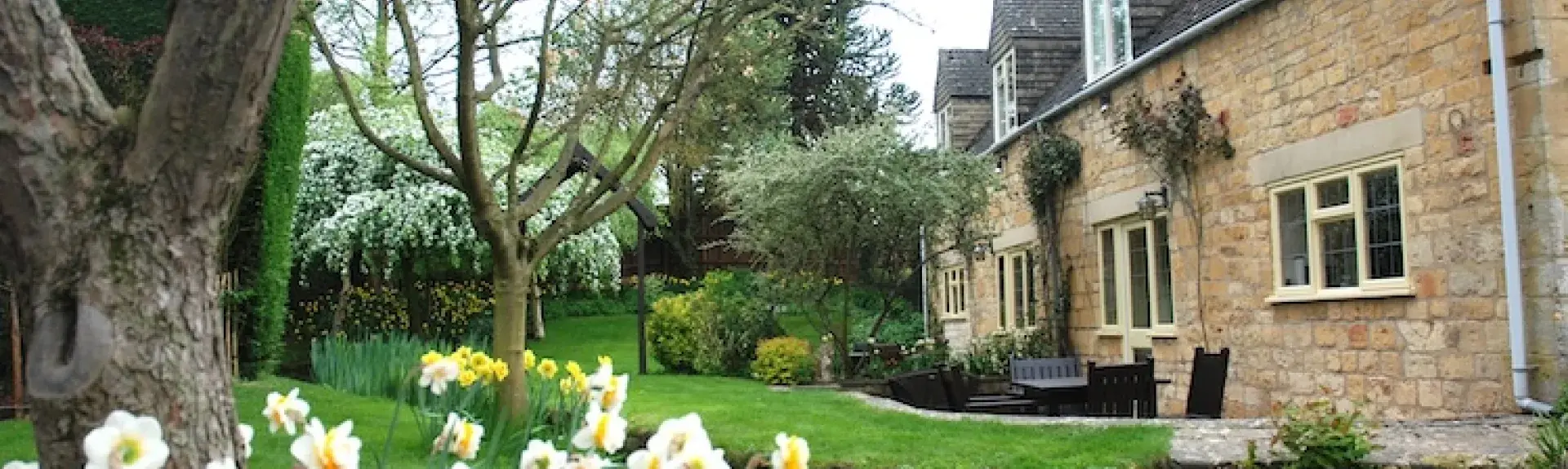 Exterior of a Cotswold honeystone cottage overlooking a lawn with daffodils in bloom.