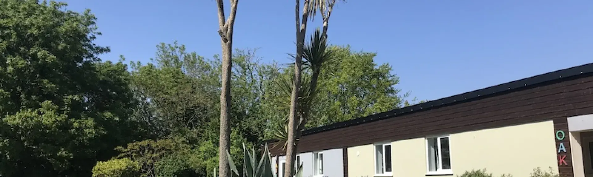 Exterior of a single storey holiday lodge overlooking s garden with palm trees.