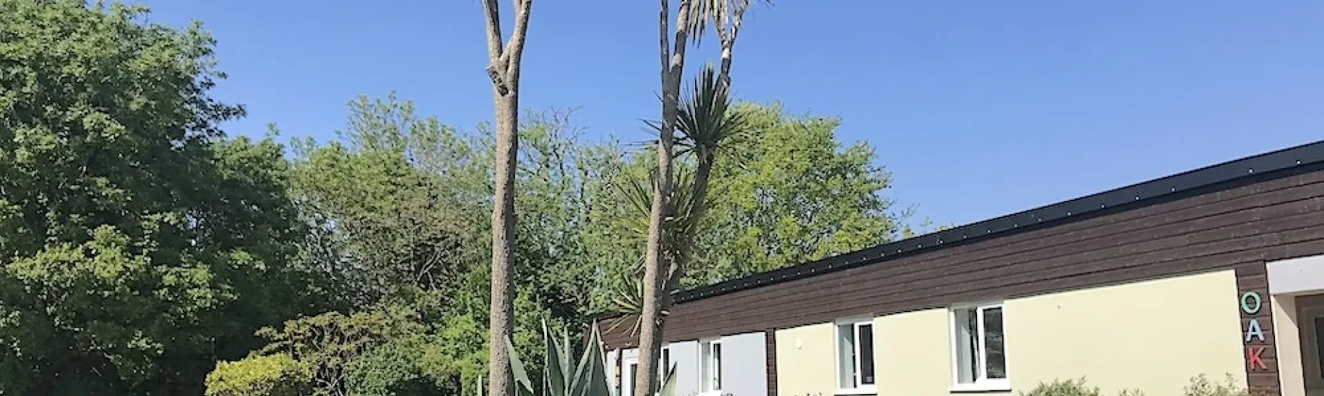 A single-storey holiday lodge overlooks a garden with mature palm trees.