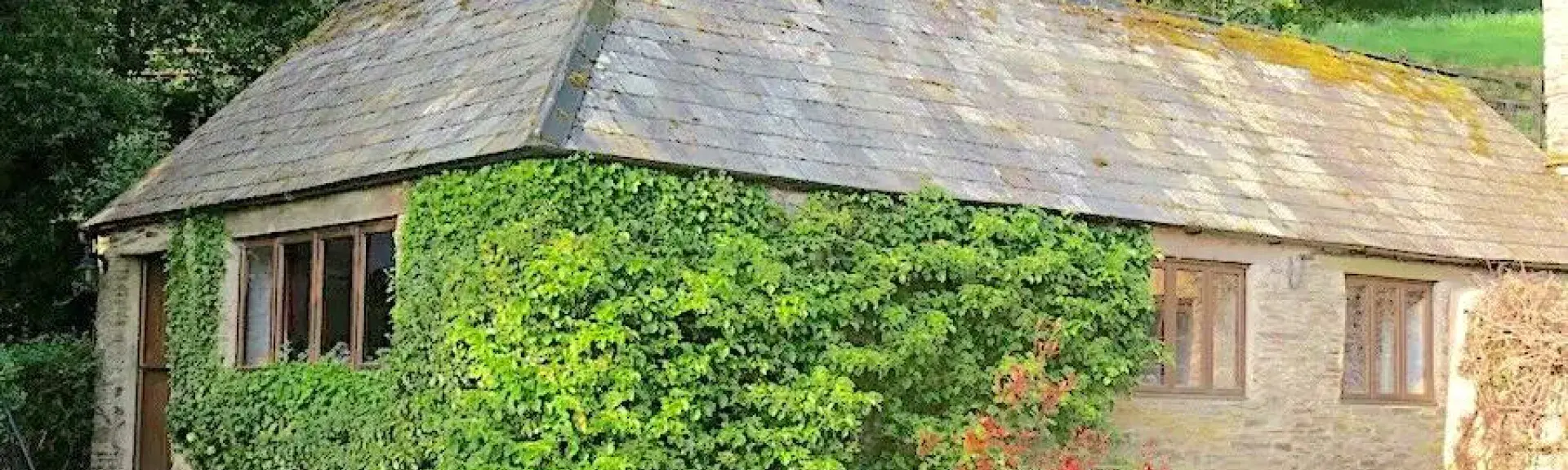 Ivey-clad exterior of an Exmoor stone barn conversion.
