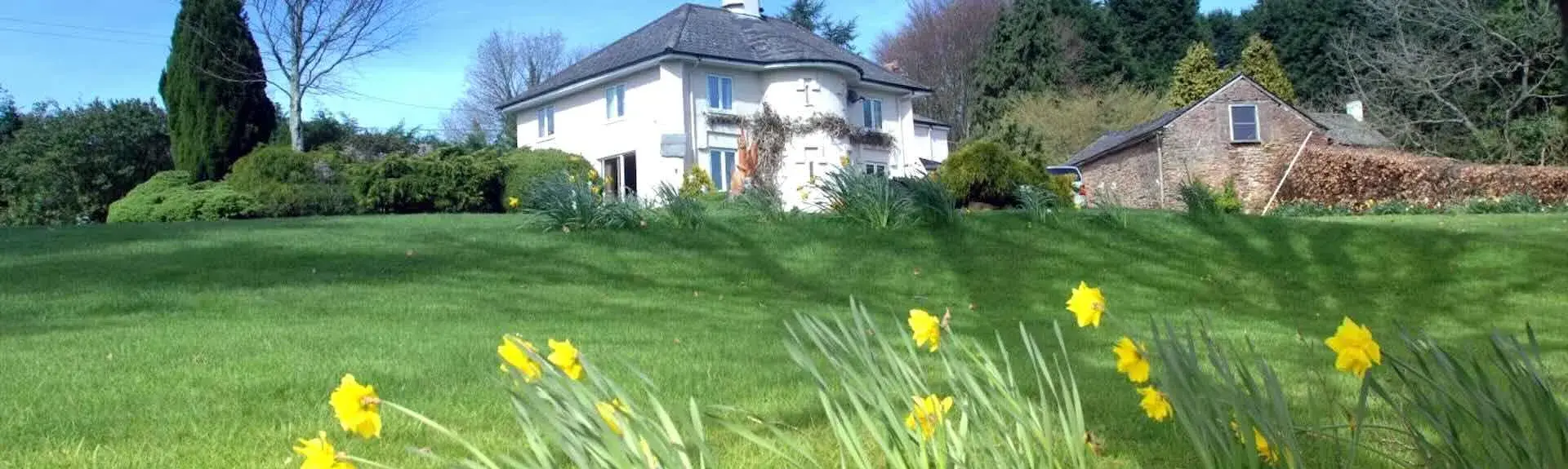 Large country cottage in Watchet overlooking a daffodil-filled lawn.