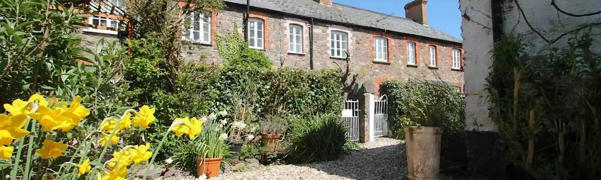 A terrace of Somerset cottages and front gardens.