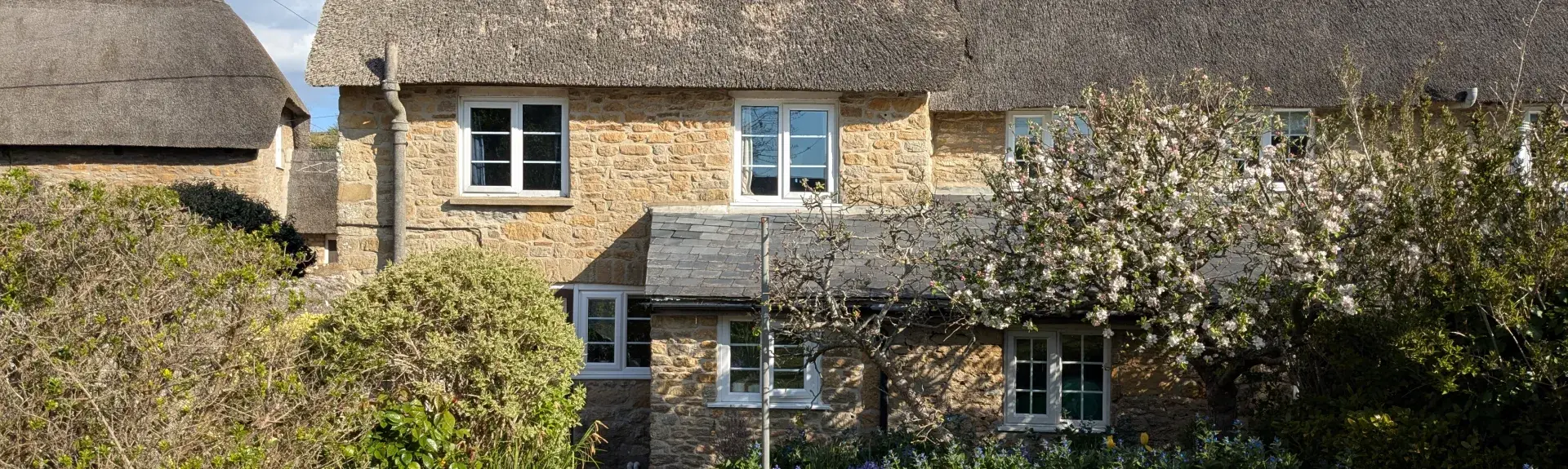 An end of terrace old thatched holiday cottage over looking a hedge lined garden.