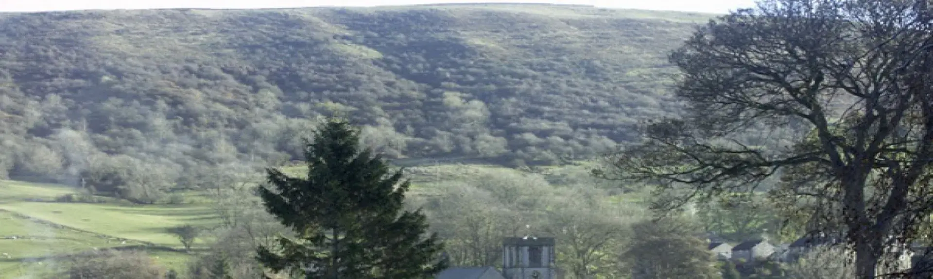 Behind a garden with mature shrubs and a lawn stands a stone-built terraced cottage.