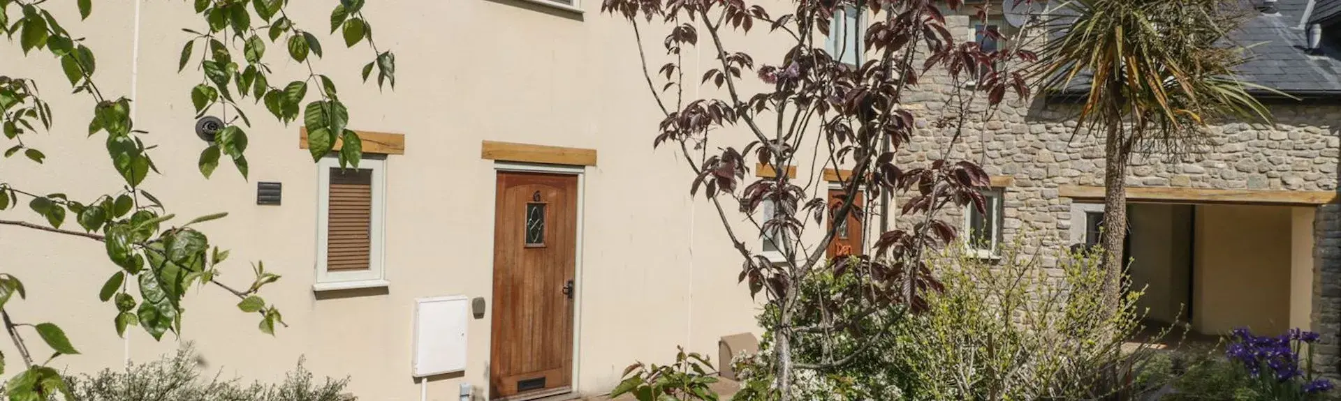 A white-rendered Watchet holiday cottage with a palm tree in its plant-filled garden.