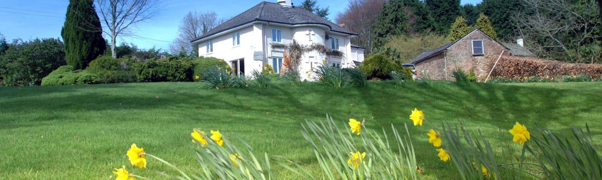 Large country cottage overlooking a daffodil-filled lawn.