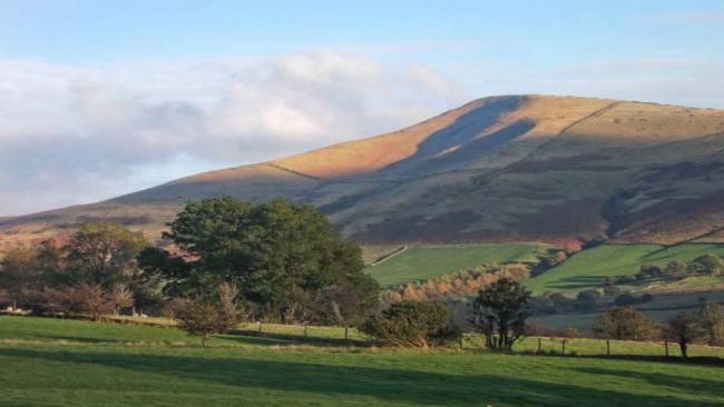 Edale Holiday Cottages Tree-fringed fields rise up towards open moorland in The Peak District.