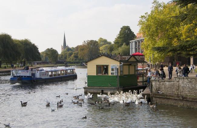 A riveerside location with a river cruise boat. Ducks and swans are being fed from a stone, tree-lined treeside. 