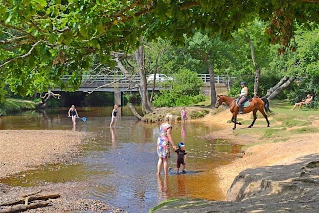 Photo credit: New Forest Cottages People paddle by a bridge in a New Forest stream as a rider on a horse crosses it.