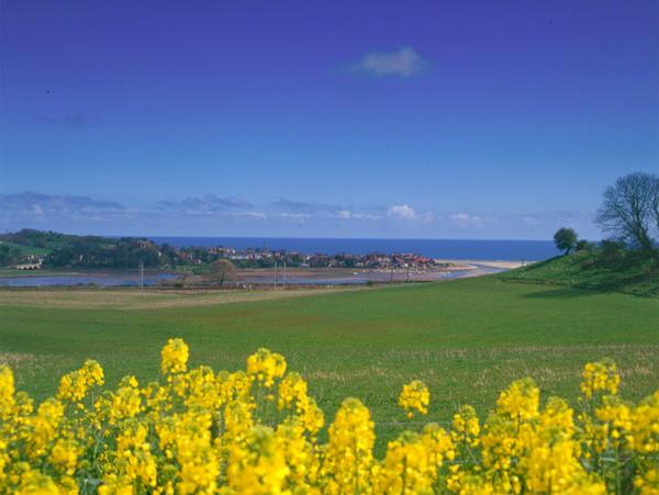 Enjoy the Serenity of a Coast and Country Cottage Holiday in Alnmouth A field of rape flowers overlooks an estuary with the rooftops of a small fishing village on its banks