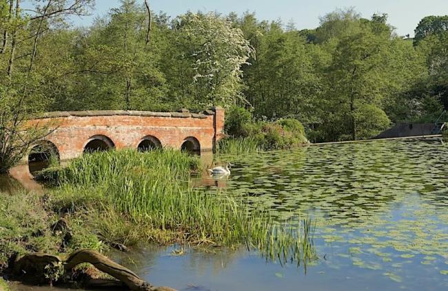 Discover The Beauty of Leicestershire on Cottage Holiday. Photo credit: Deerpark Lodge. AN OLD 4-ARCHED BRIDGE CROSS A LAKEA 4-arched stone bridge crosses a tree-lined lake covered with lily pads.