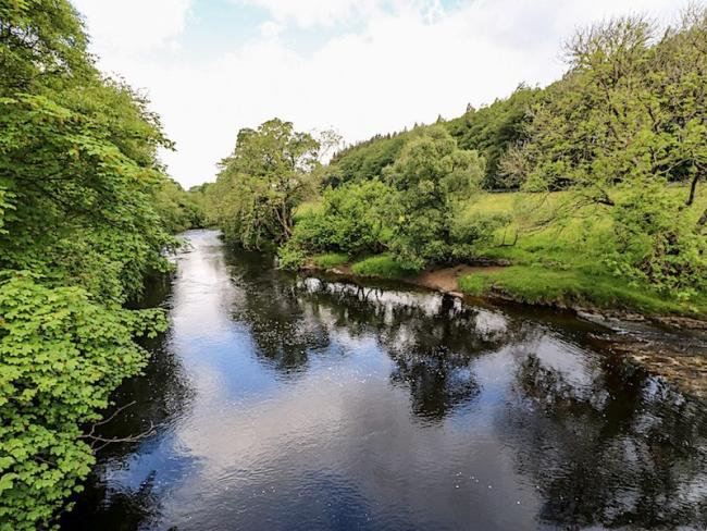 Discover Holiday Cottages in County-Durham. Photo credit: Meadows Edge The wide, tree-lined, slow-flowing River Tees curves around a bend in summer.