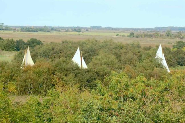 Image credit: Stable Cottage, East Rushton, Near Stalham. 3 yacht sails appear above the trees and bushes hiding a river in the Norfolk Broads