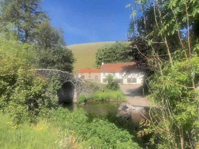 A bridge over a calm river lined by trees with houses on the far bankj.