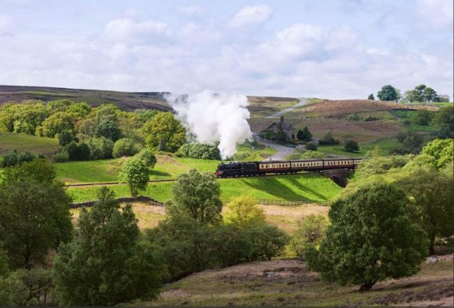 Steamy Adventures in Pickering A locomotive hauls a carriage set through open countryside.