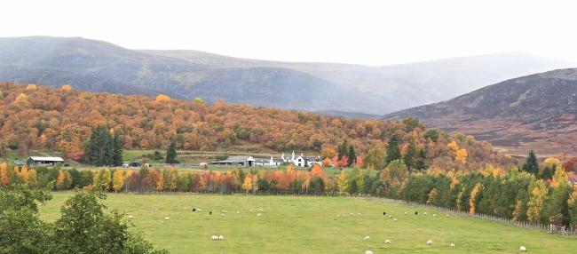 Photo credit: Bialllid in Newtonmore A colourful autumn landscape of rollling hills with fields and woods surrounding Biallid, a holiday home in the Cairngorms.