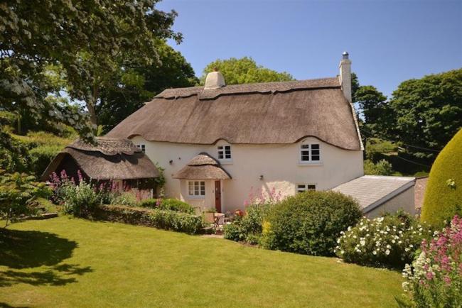 Large thatched cottage overlooking a large lawn fringed with flowering shrubs.