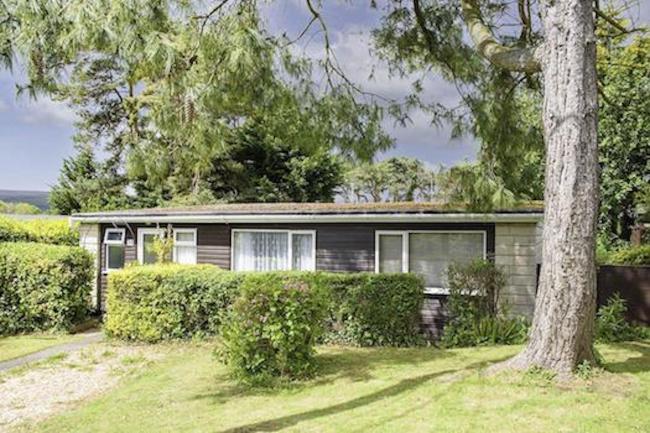 Exterior of a wooden holiday lodge in Watchet, surrounded by lawns,mature pine tree and beach hedges.