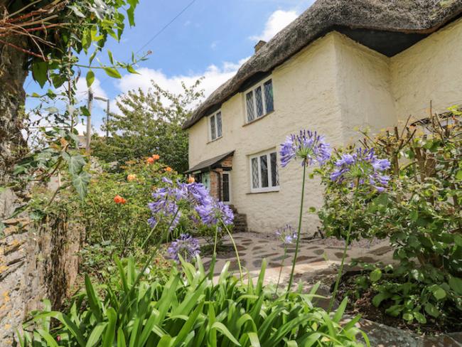 Exterior of a thatched cottage facing a paved, flower-filled courtyard in Brixham.