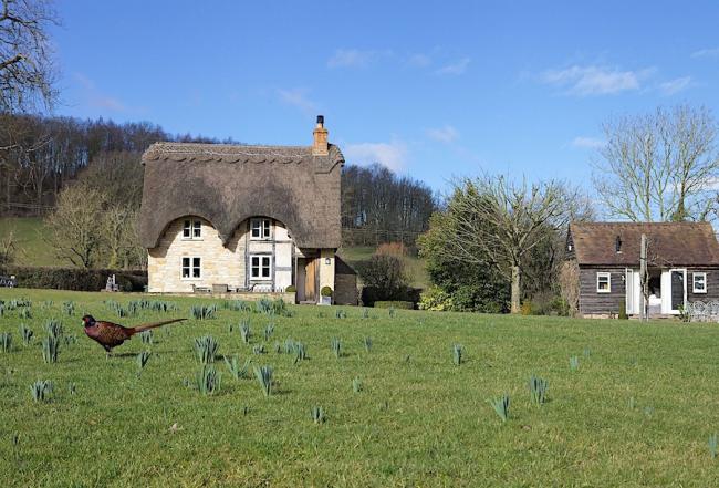 A detached and thatched village cottage overlooks a village green in Worcestershire.