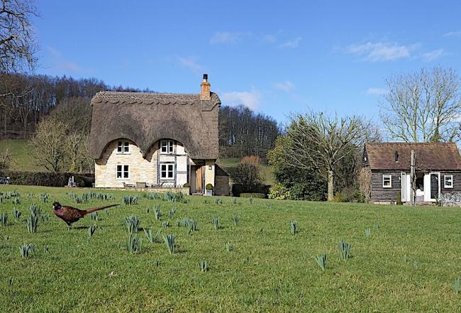 A thatched cottage overlooks a large village green.