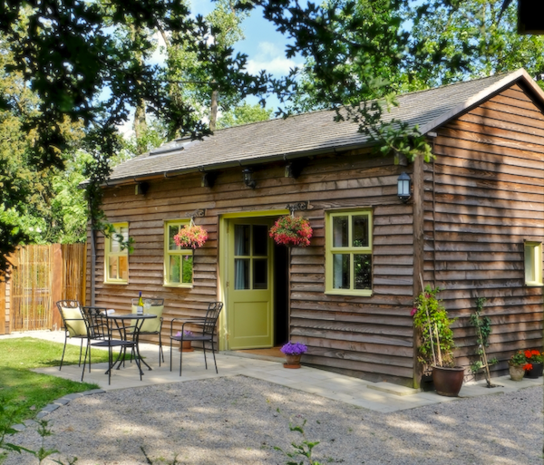 Exterior and patio of a single-storey, wooden eco-lodge surrounded by trees.