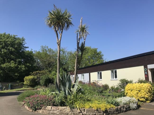 Exterior of a single storey holiday lodge overlooking s garden with palm trees.