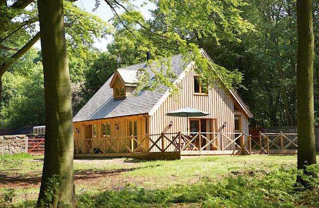 A 2-storey, timber-walled lodge in a woodland glade.