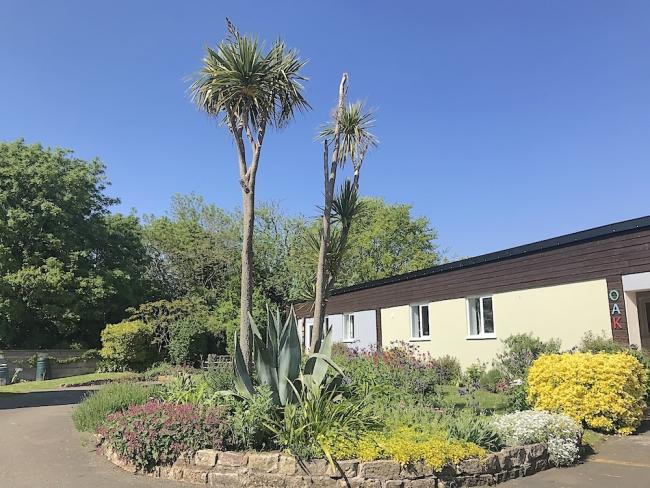 A single-storey holiday lodge overlooks a garden with mature palm trees.