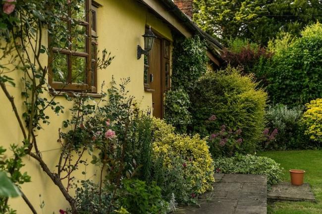 Paved path to a front door through a shrub-filled garden and a lawn.