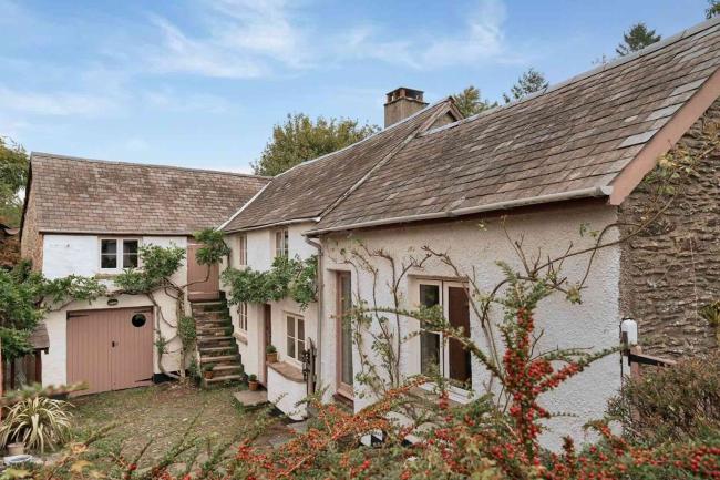 A semi-detached house with a shrub-filled front garden and privet hedge.