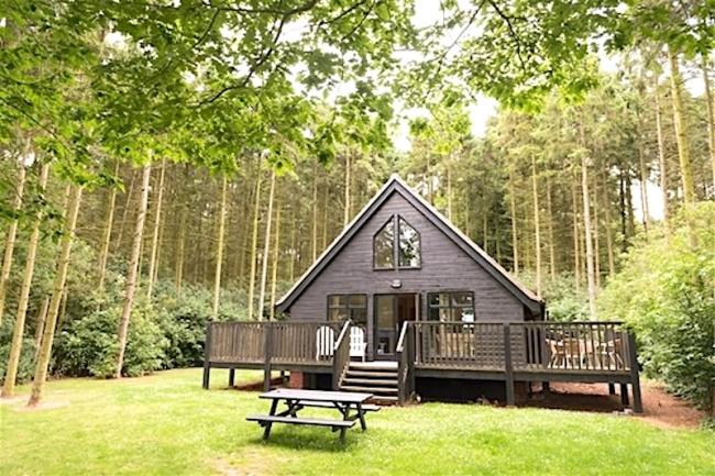 A wooden eco-lodge with a large deck in a pine clearing.