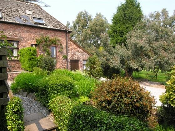 Exterior of an Exmoor rural cottage with a garden full of shrubs.