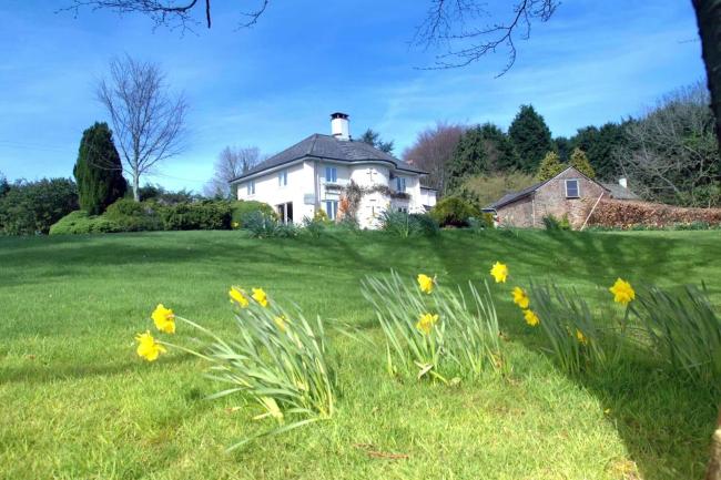 Large country cottage in Watchet overlooking a daffodil-filled lawn.