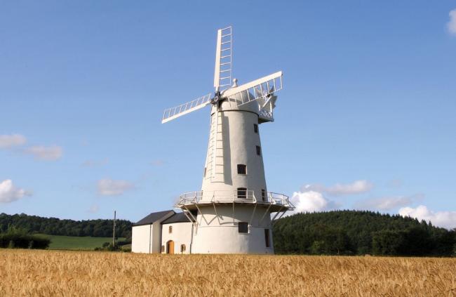 A restored windmill stands in the middle of a field of ripe wheat.