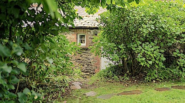 A glimpse of a cottage wall and window peeping through a gap between bushes.