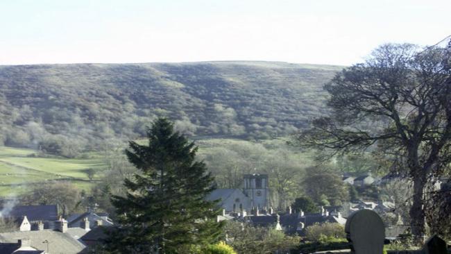 Behind a garden with mature shrubs and a lawn stands a stone-built terraced cottage.