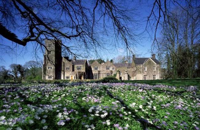A sprawling country house with a tower overlooks a garden full of flowering crocuses.