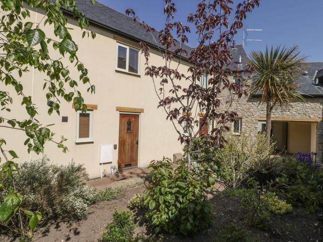 A white-rendered Watchet holiday cottage with a palm tree in its plant-filled garden.