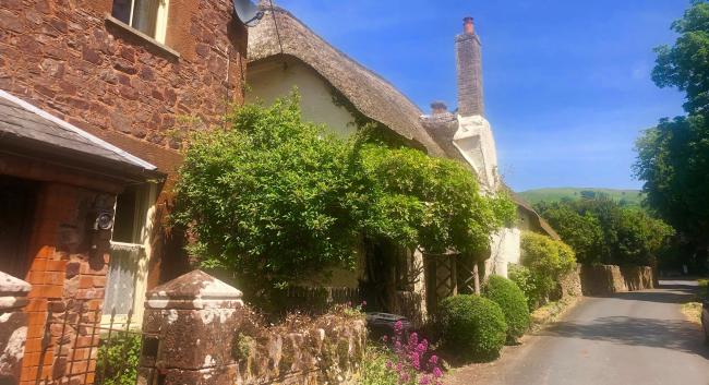 Bicknoller Cotttages in Somerset A row of mainly thatched Somerset cottages line a tree-clad village street in Bicknoller.